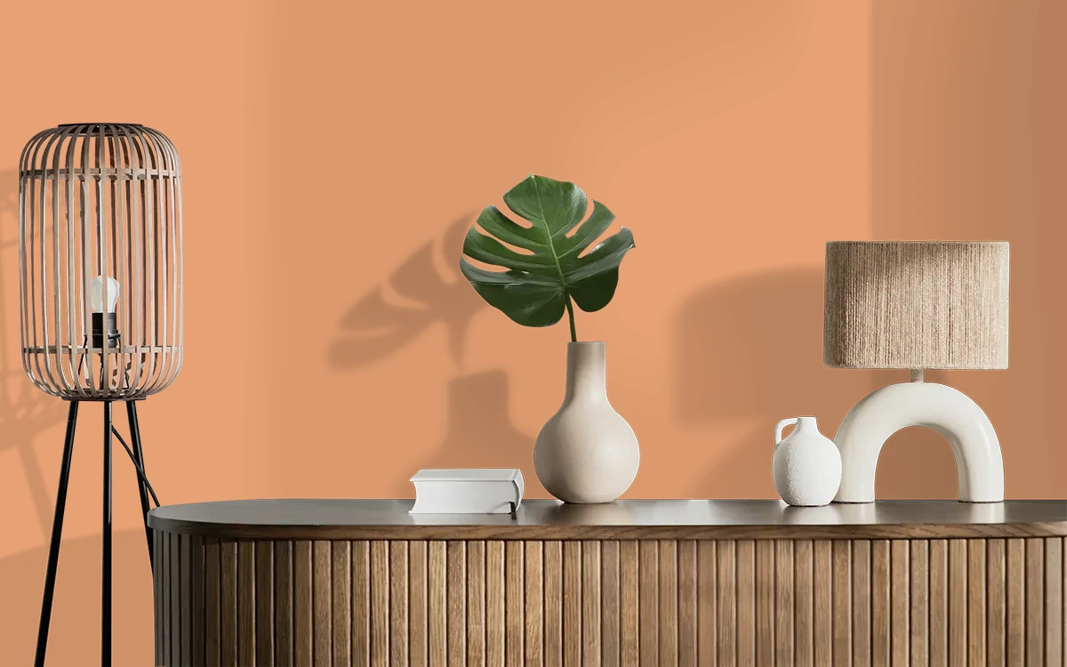 Nippon Paint's PAPRIKA SPRINKLE color on different wall surfaces.