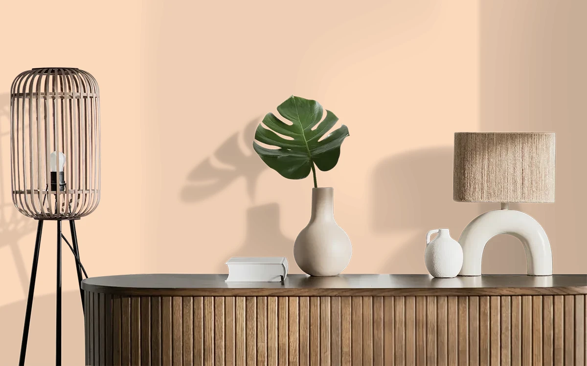 Nippon Paint's PEKOE ORANGE color on different wall surfaces.