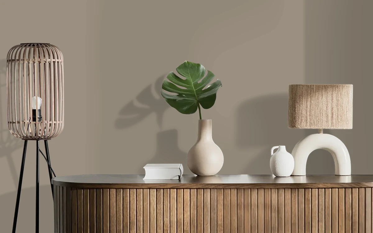 Nippon Paint's PET HOUSE color on different wall surfaces.