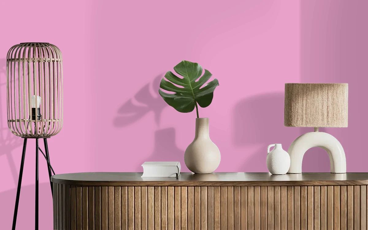 Nippon Paint's PINK RALLY color on different wall surfaces.