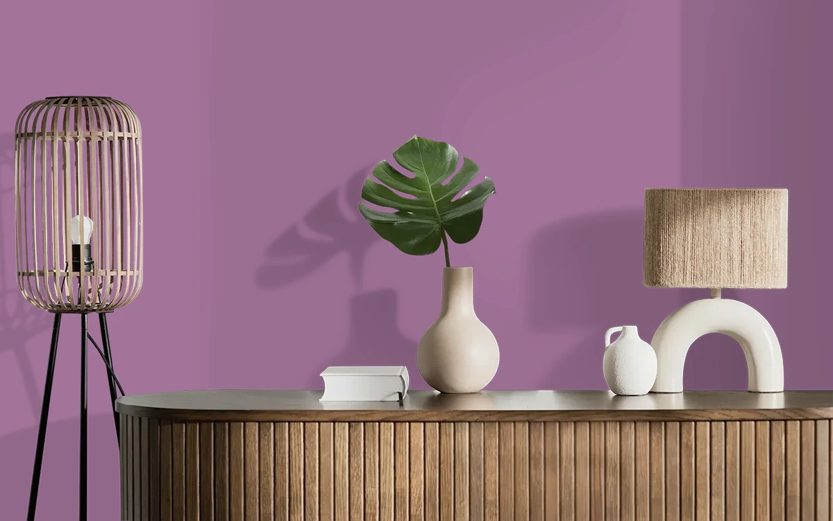 Nippon Paint's PURE ADDICTION color on different wall surfaces.