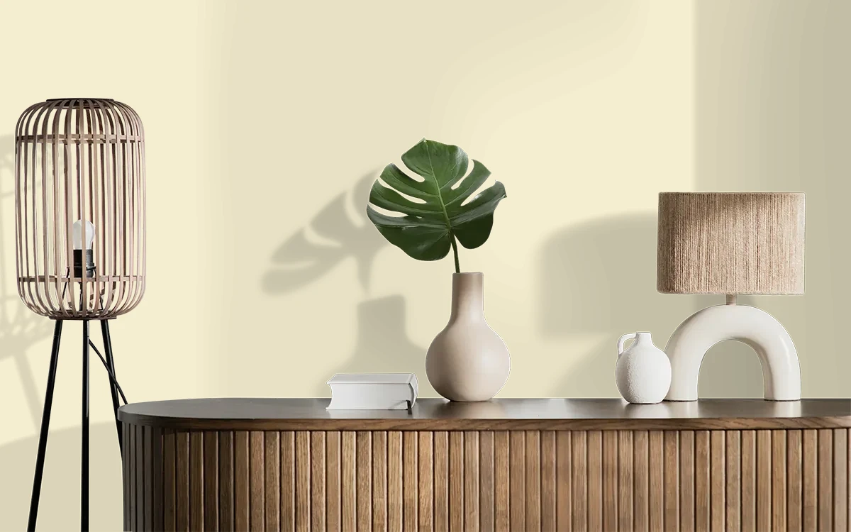 Nippon Paint's RAIN STAR color on different wall surfaces.