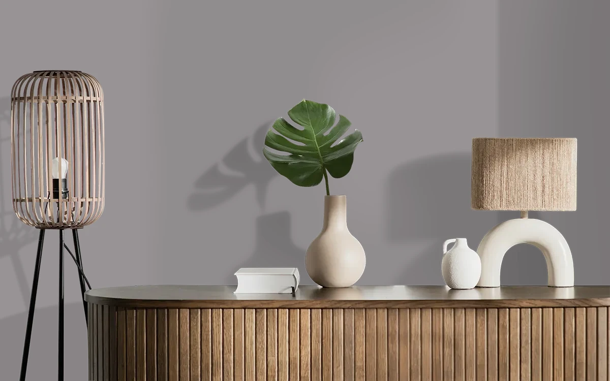 Nippon Paint's RARE TALENT color on different wall surfaces.