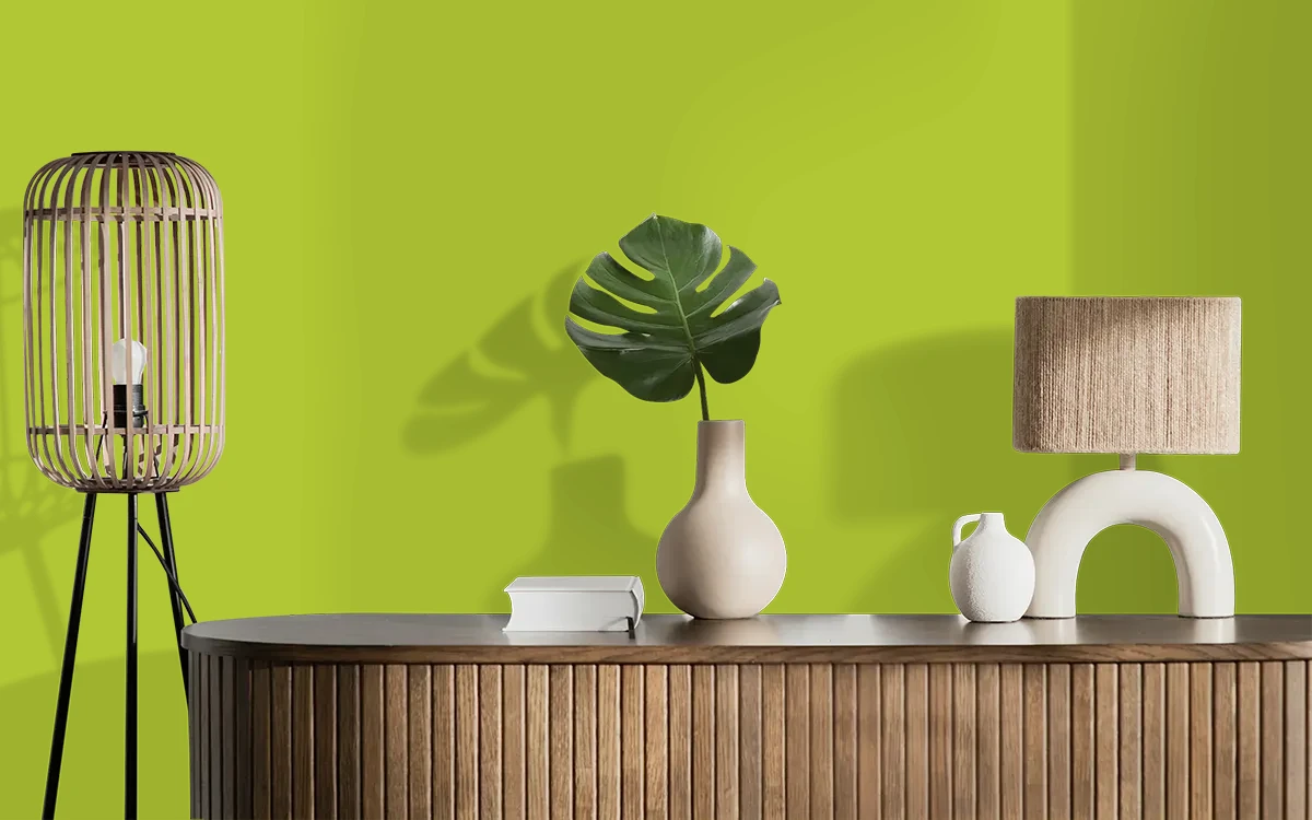 Nippon Paint's RASBORA color on different wall surfaces.