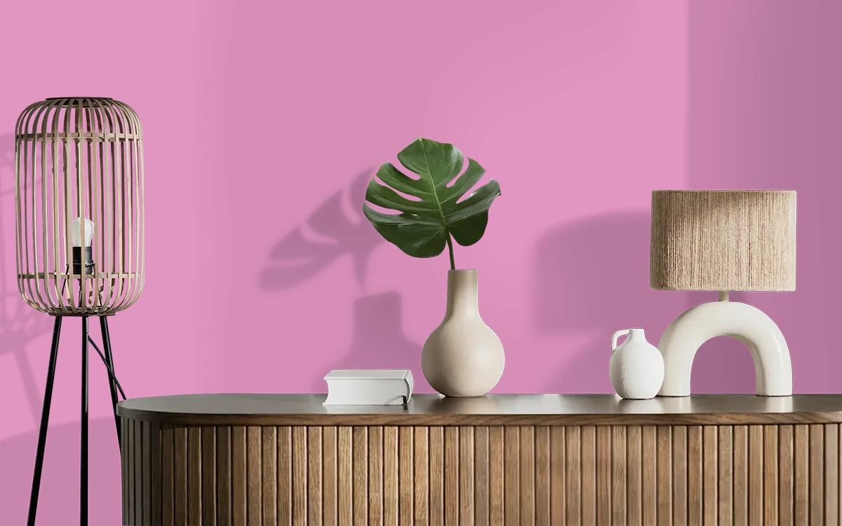 Nippon Paint's RASPBERRY ROLL color on different wall surfaces.