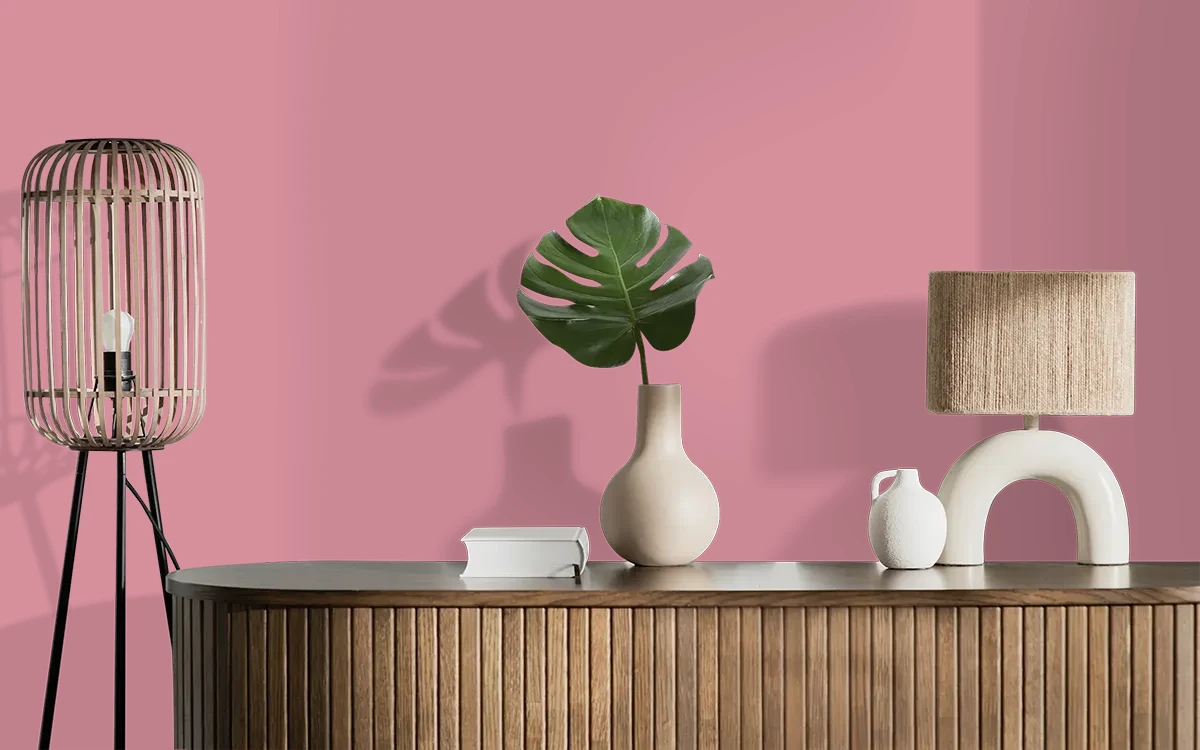 Nippon Paint's ROSE BUD color on different wall surfaces.