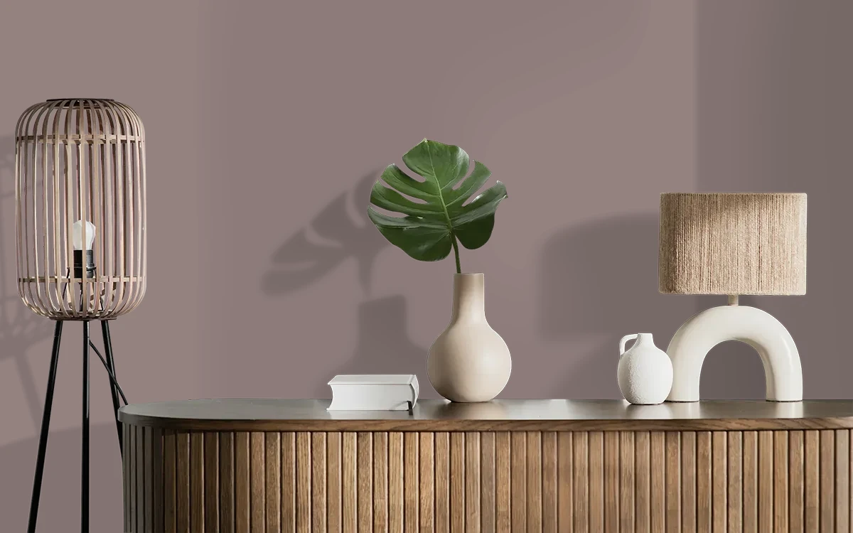Nippon Paint's SABLE BLISS color on different wall surfaces.