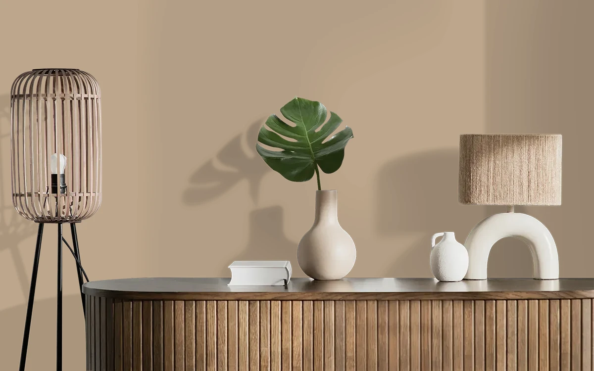 Nippon Paint's SAFARI ADVENTURE color on different wall surfaces.