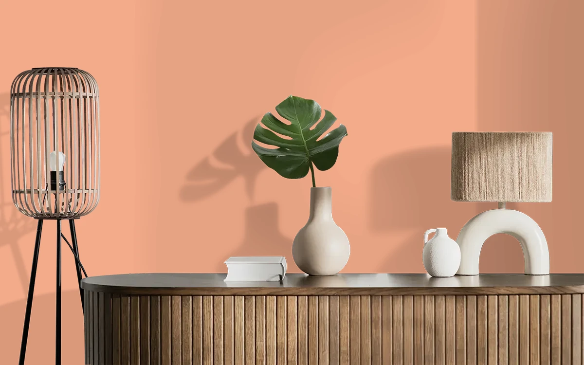Nippon Paint's SALMON ROE color on different wall surfaces.