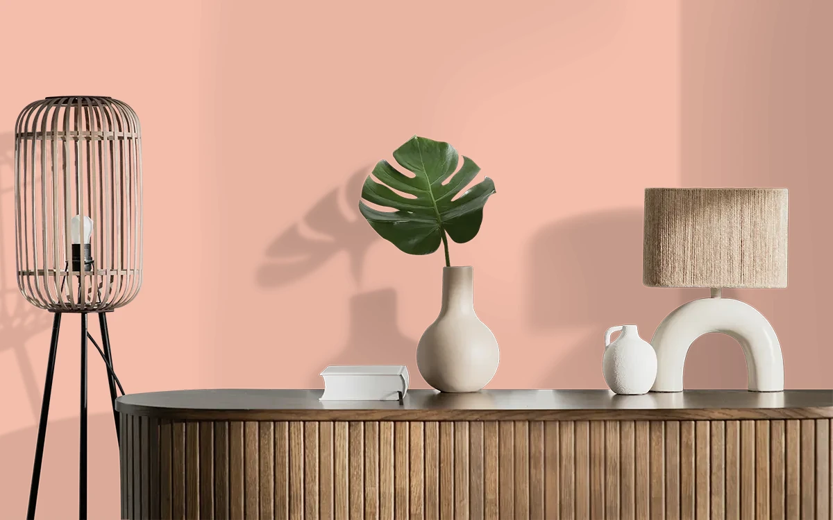 Nippon Paint's SALMON RUSH color on different wall surfaces.