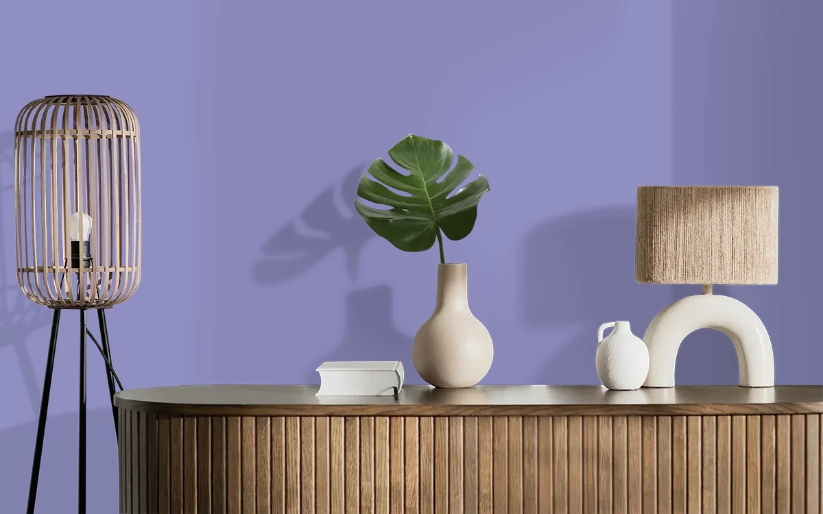 Nippon Paint's SIGNORITA color on different wall surfaces.