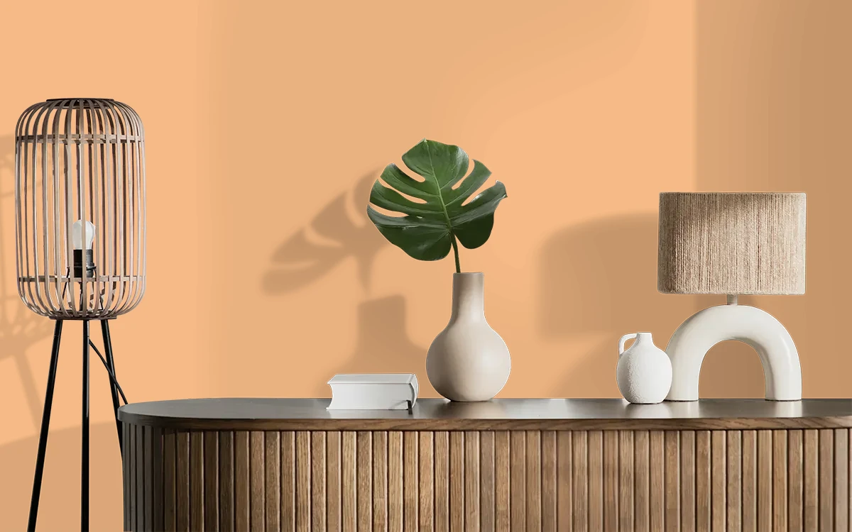 Nippon Paint's SPICED ORANGE color on different wall surfaces.