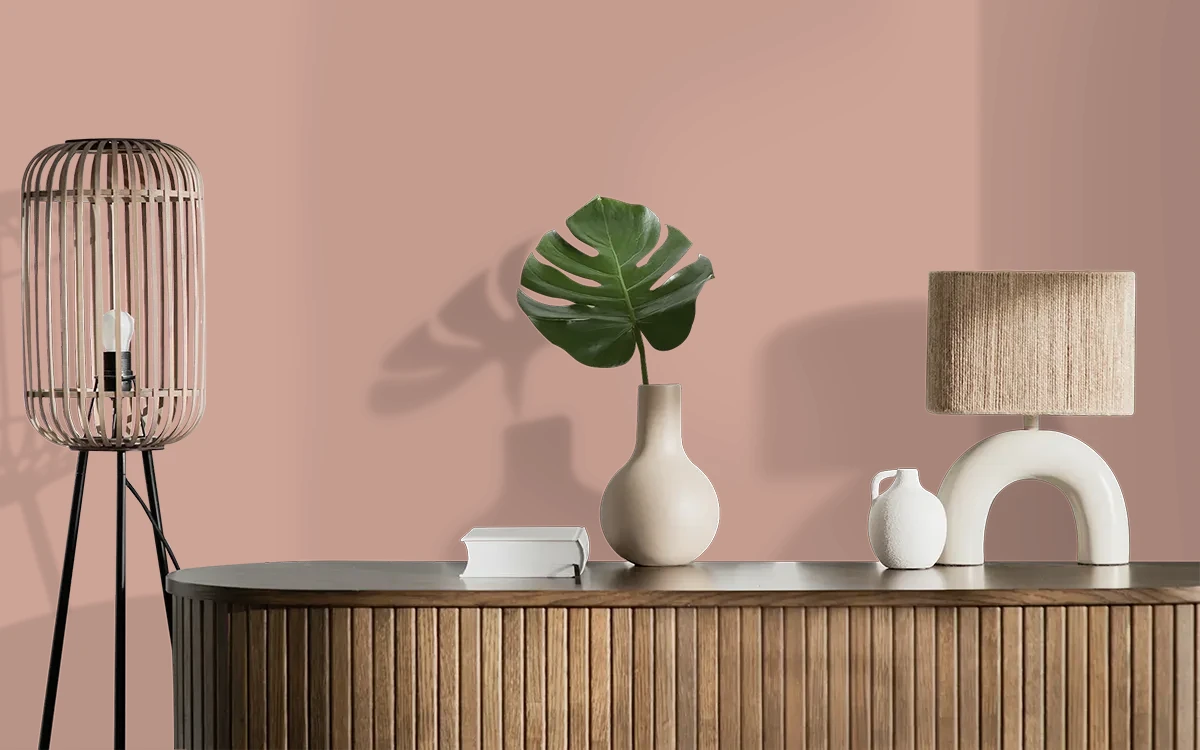 Nippon Paint's STANDISH ROSE color on different wall surfaces.