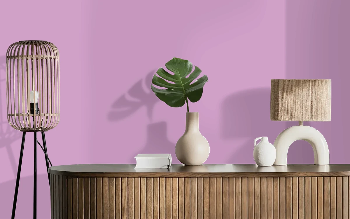 Nippon Paint's STARDOM color on different wall surfaces.