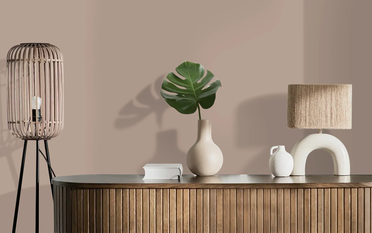 Nippon Paint's TAWNY WHIRL color on different wall surfaces.