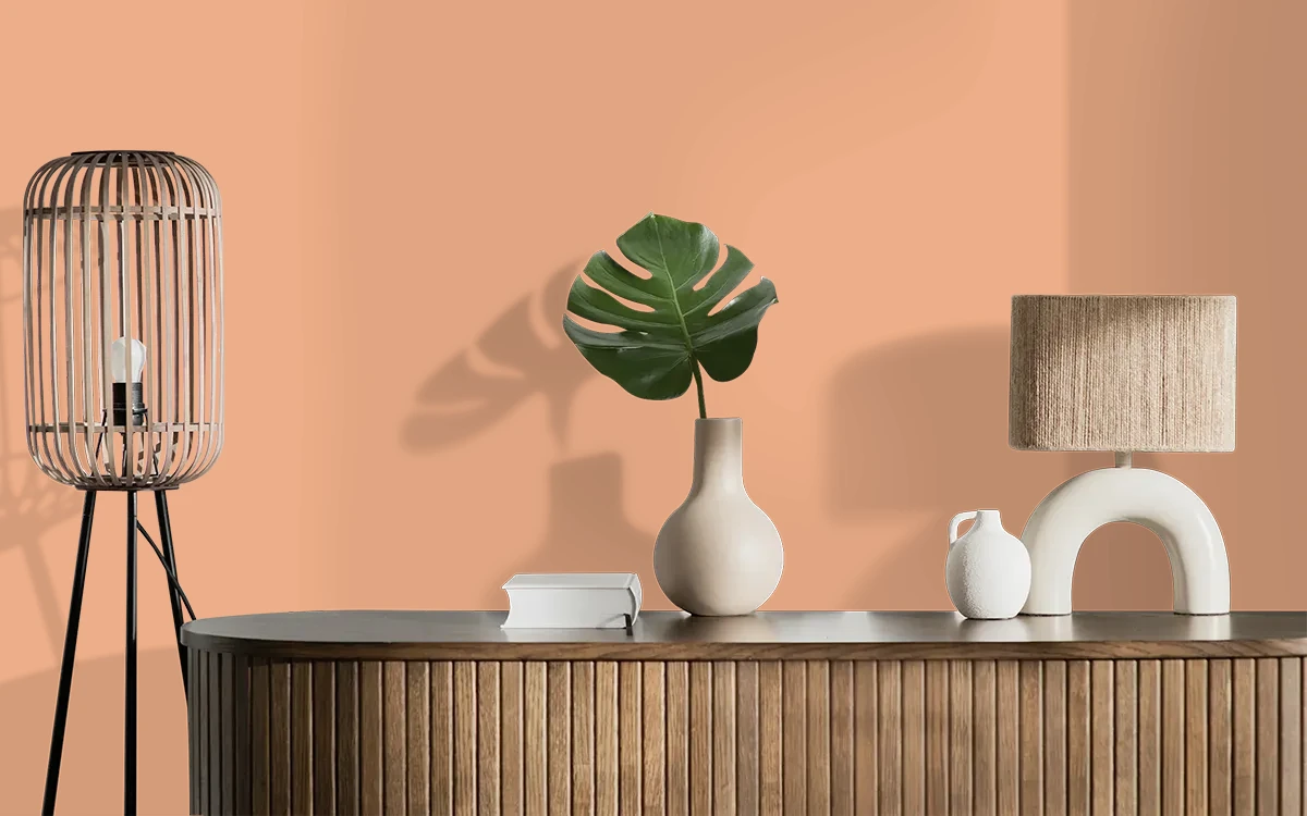 Nippon Paint's TERRA TINT color on different wall surfaces.