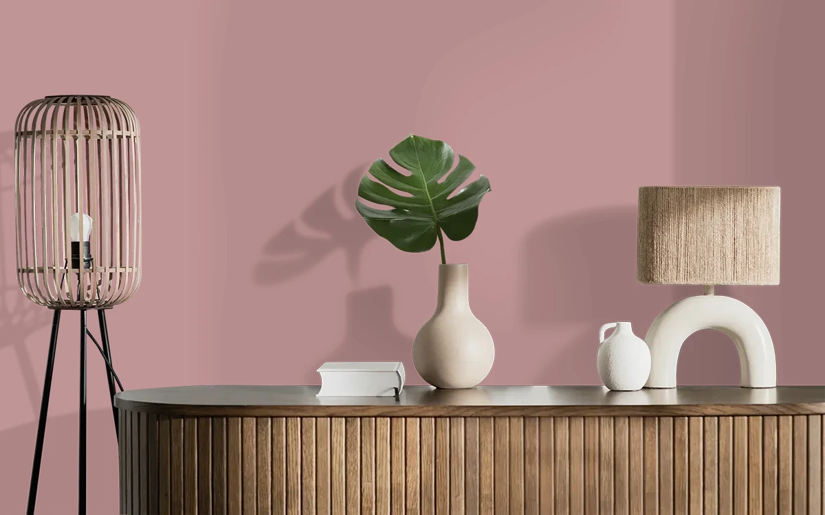 Nippon Paint's TERRACOTTA STONE color on different wall surfaces.