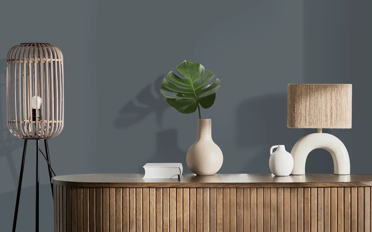 Nippon Paint's THRILLER color on different wall surfaces.