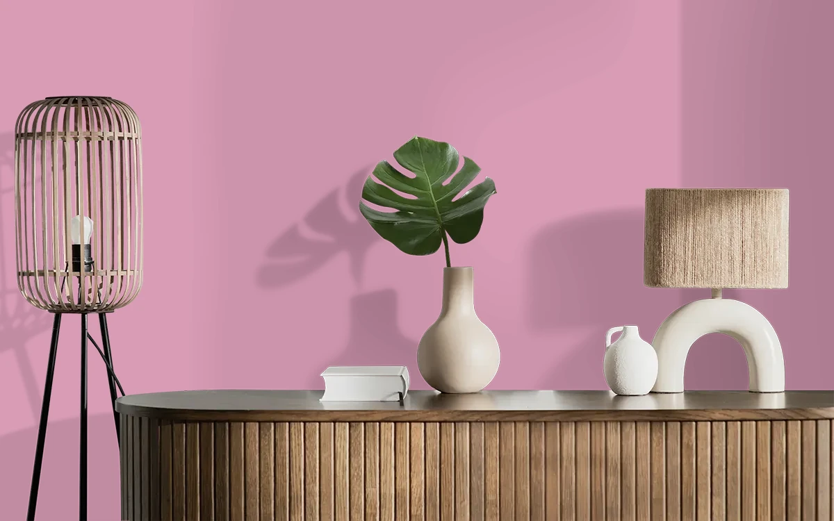 Nippon Paint's TRAILING PINK color on different wall surfaces.