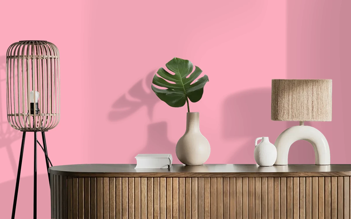 Nippon Paint's VALENTINE'S GIFT color on different wall surfaces.