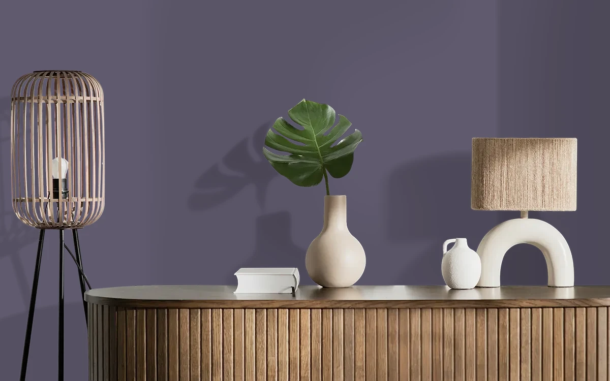 Nippon Paint's VELVET CARPET color on different wall surfaces.