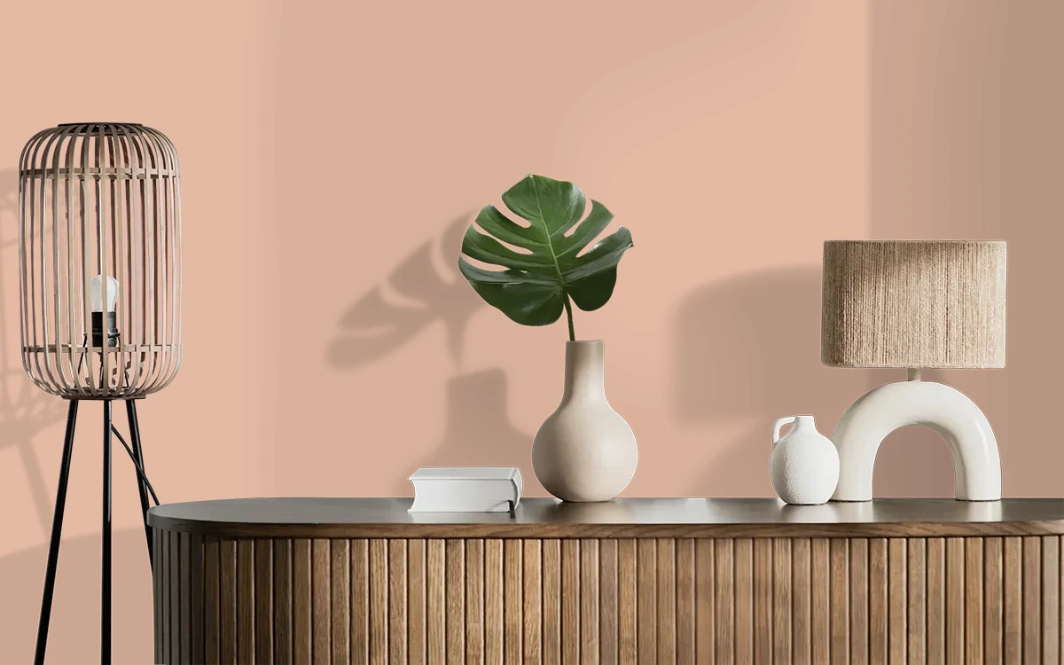 Nippon Paint's VESSEL CHIP color on different wall surfaces.