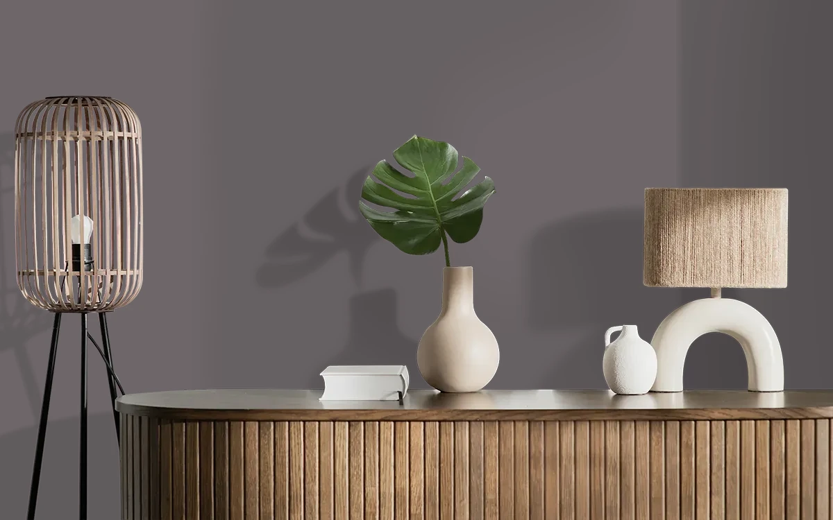 Nippon Paint's VIKING GRAY color on different wall surfaces.